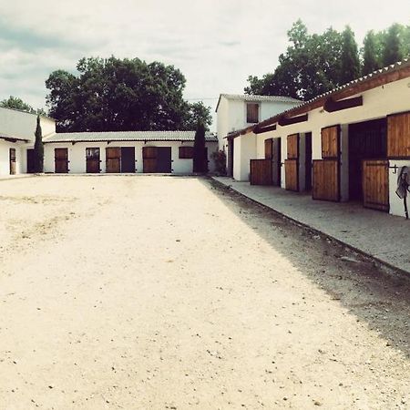 Maison Au Milieu Des Chevaux Л'Иль-сюр-ла-Сорг Экстерьер фото